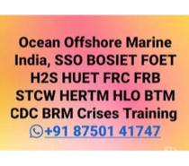LICOS HLA FRB HLO Helicopter Landing Officer Mumbai