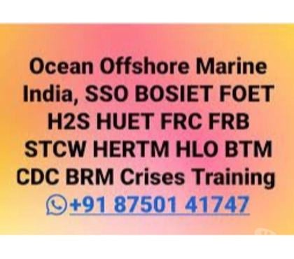 Industry training - Photos for Crowd & Crisis Management brm btm hlo training mumbai delhi