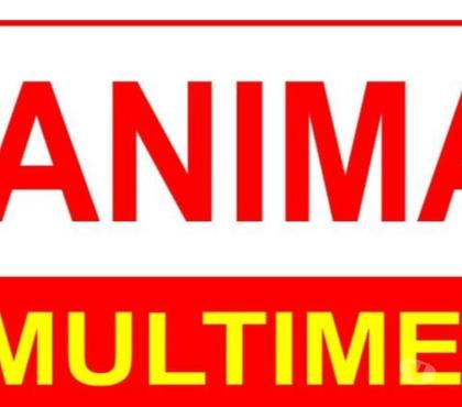 Schools-Colleges-Universities - Photos for Fullstack web development course Coimbatore - Animax