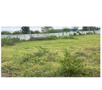 Plot for sale - Photos for Residential Plot for Sale in Chititra, Medchal | ₹80 Lac