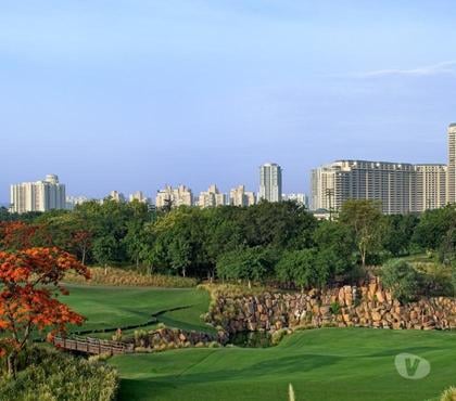 apartments for sale - Photos for Live the High Life at DLF Magnolias, Gurgaon