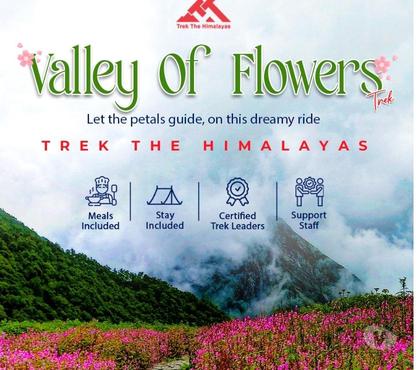Matrimonial services - Photos for Let the Petals Guide You – Valley of Flowers Trek