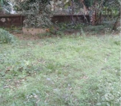 Plot for sale - Photos for 6 Cottah Land Sale At Kanchantala Near Madhyamgram