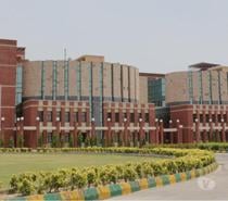 Distance MBA in Noida – Low Fees & UGC-Approved Colleges