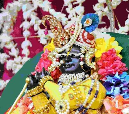Insurance services - Photos for shri radha raman ji temple