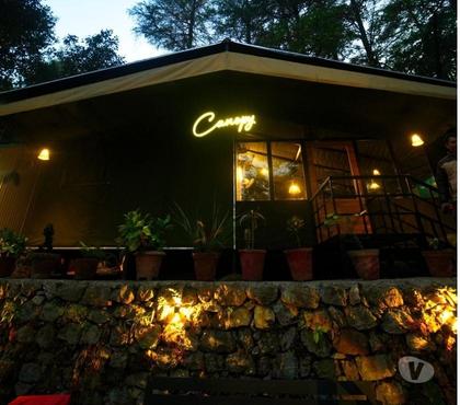 Insurance services - Photos for Best Luxury Glamping Retreat in Uttarakhand |Treet