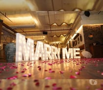 Marry Me Surprise Planners in Chandigarh - Woofern