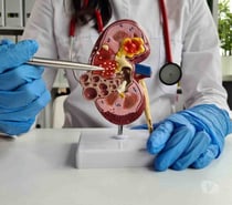 Your Go-To Specialist Doctor for Kidney Disease in Bbsr