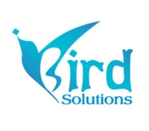 iBird Solutions Ahmedabad’s Top Digital Marketing Agency