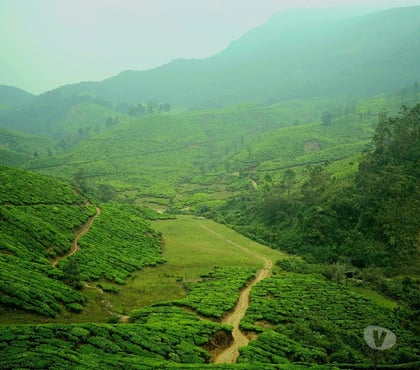 Serviced Apartments - Photos for Niche Stays - Best Five star resorts in Munnar