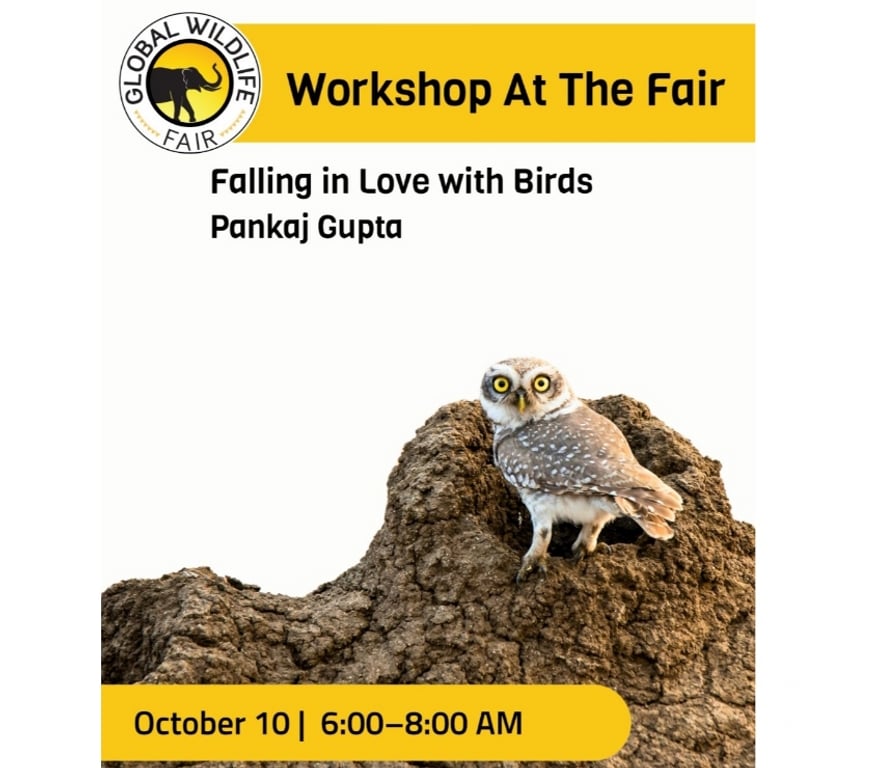 Other Services Noida - Photos for Falling in Love with Birds
