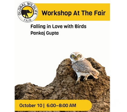 Matrimonial services - Photos for Falling in Love with Birds