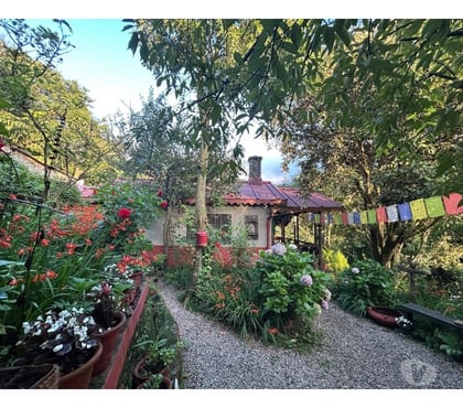 Serviced Apartments - Photos for Best Hotel in Nainital Uttarakhand | Homestay in Pangot