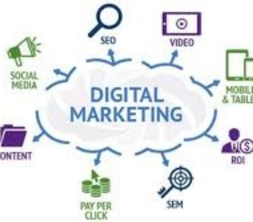 Professional Training New Delhi - Photos for Career-Oriented Digital Marketing Training at DICS Pitampura