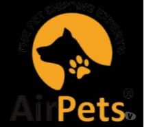 The Rise of Domestic & International Pet Travel in India