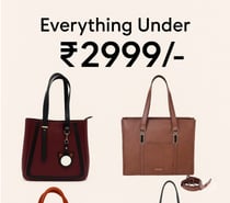 Everything Under ₹2999 - | Shop Oddcat Bags