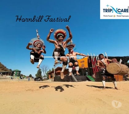 Stock market services - Photos for Hornbill Festival 2025 Travel Guide