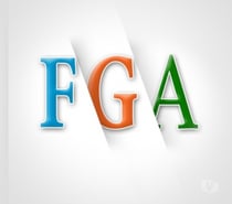 Website Development Company in Noida