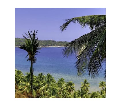 Insurance services - Photos for Exclusive Andaman Nicobar Package for Couples
