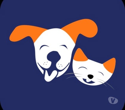 Pet shops - Photos for Dog Grooming Service in Bangalore - ThePetNest