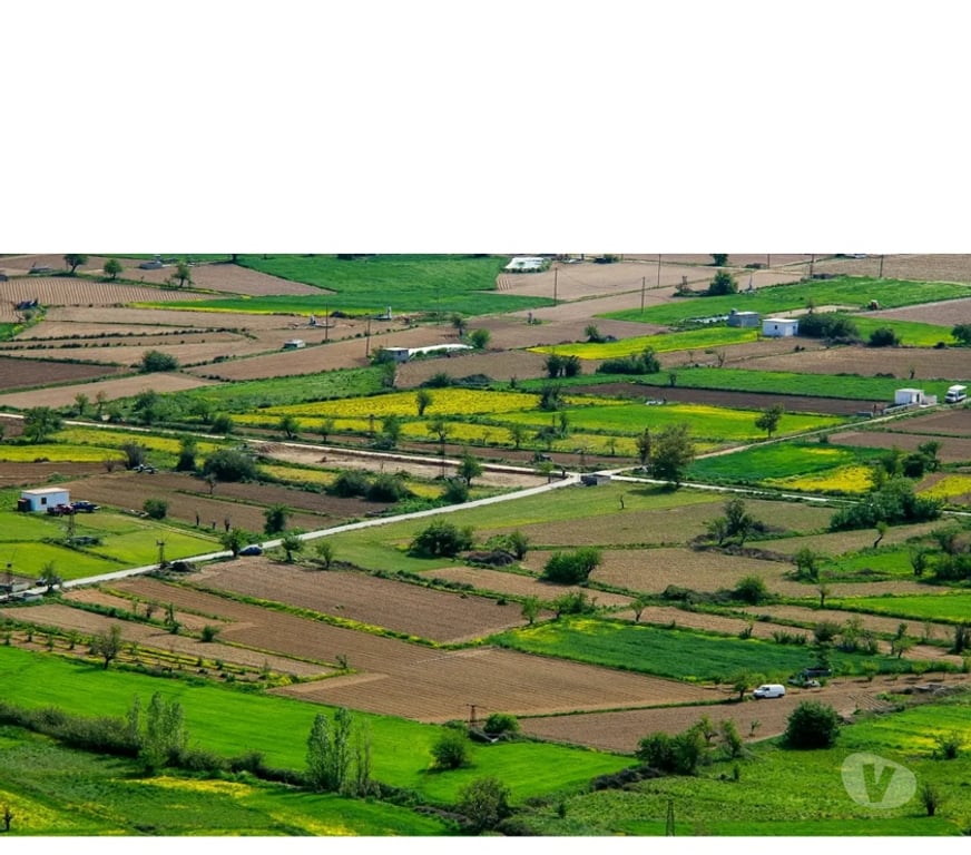 Land sale Bangalore - Photos for Premium Villa Plots at Godrej North Bangalore, Doddaballapur