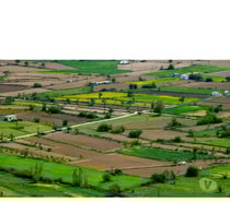 Premium Villa Plots at Godrej North Bangalore, Doddaballapur