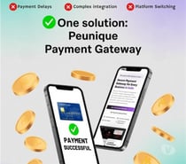 The Most Secure Digital Payment System for ECommerce in Noid