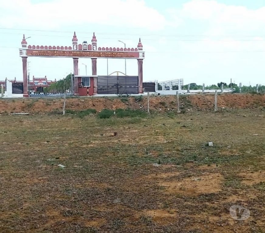 Land sale Tiruvallur - Photos for Plot for Sales in Thiruvallur Near Dr.Ambedkar Govt opposite