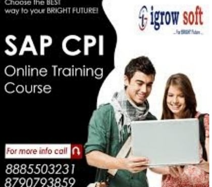 Professional Courses - Photos for sap cpi training in Hyderabad | sap cpi online training inst