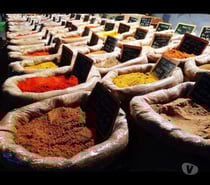 ISO Certified Spice Manufacturing Company in India - Global