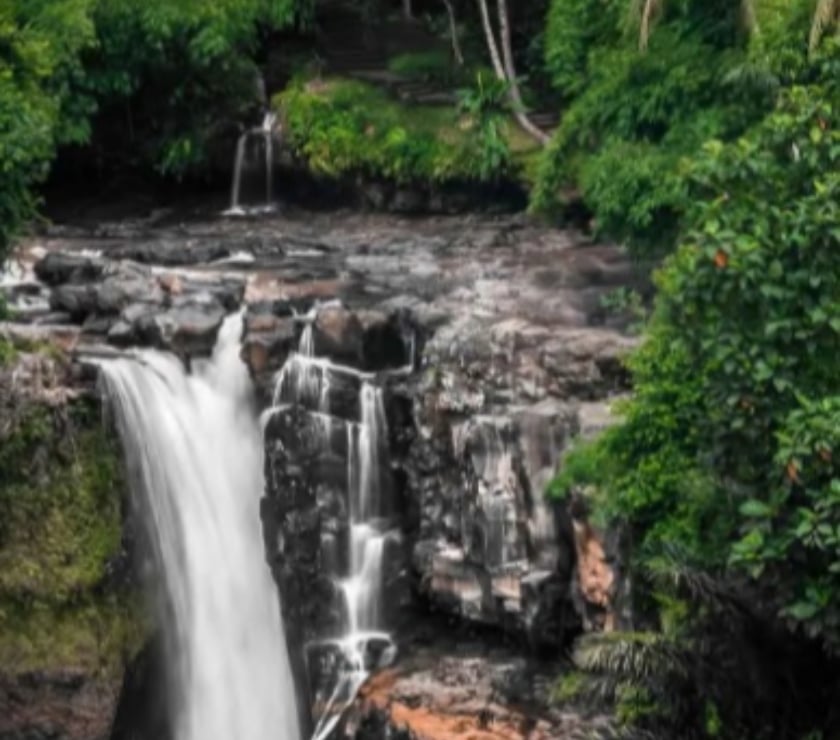Kerala Tour Packages – Explore God’s Own Country