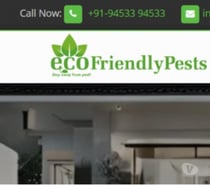 Pest Control Services Company in Mumbai | Ecofriendlypests