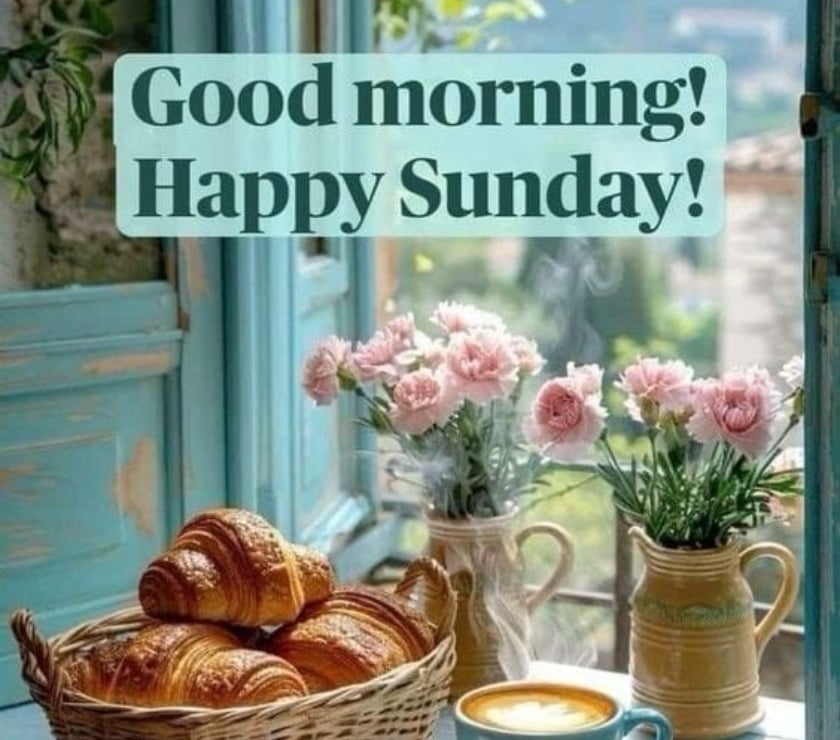 Looking for a mature top with place