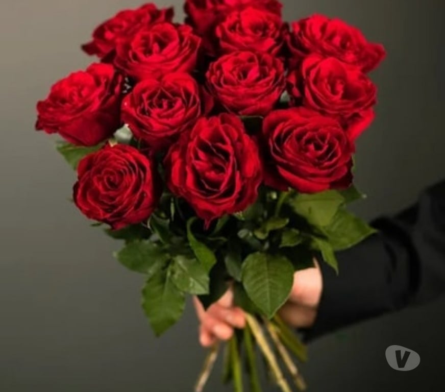 Buy & Sell Gift Chandigarh - Photos for Winni – Fresh Local Flowers Delivered Near Yo