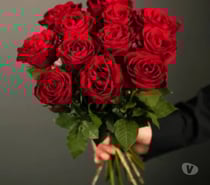 Winni – Fresh Local Flowers Delivered Near Yo