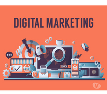 Professional Digital Marketing and SEO Courses Madurai