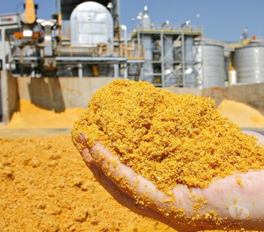 Pet shops Hyderabad - Photos for DDGS Dried Distillers Grains in India | Jurala