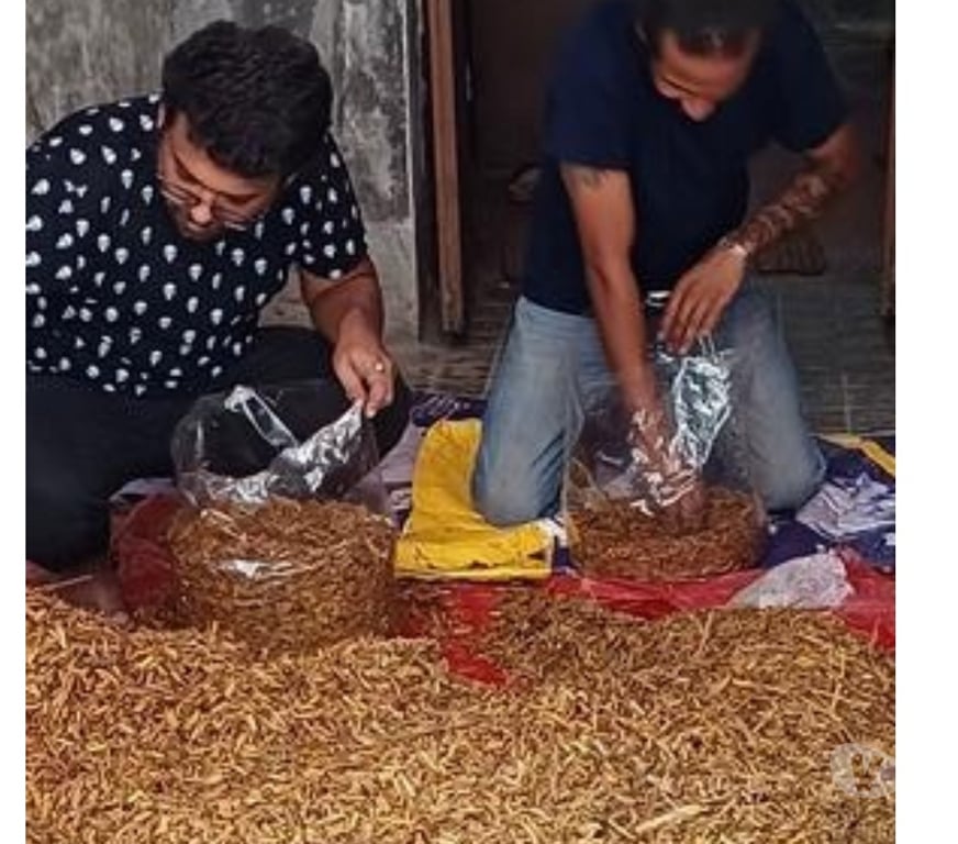 Professional Training Howrah - Photos for Mushroom cultivation training