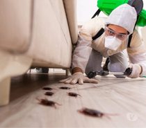 Best Pest Control Services in Hyderabad – AJL Pest Control