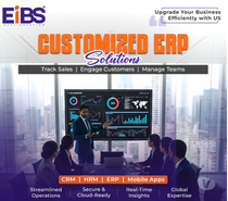 Best Software Development Company in Madurai | EiBS