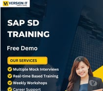 Version IT: The Most Stylish and Leading SAP SD Training