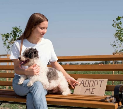 Adopting a pet - Photos for Looking to Adopt a Pet?