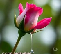 Looking for 30 above hairy guy