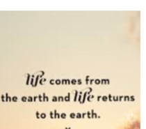 Pure Top looking BOTTOMS or 1st tymer in DELHI only