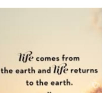 Gay Dating - Photos for Pure Top looking BOTTOMS or 1st tymer in DELHI only