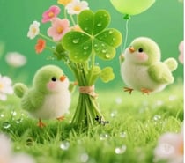 Men looking for a men love to suck dick