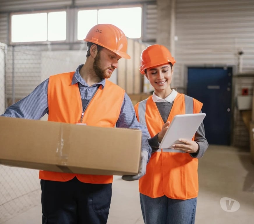 Relocation services Delhi - Photos for Smart Global Logistics Solutions | Fast, Reliable & Scalable