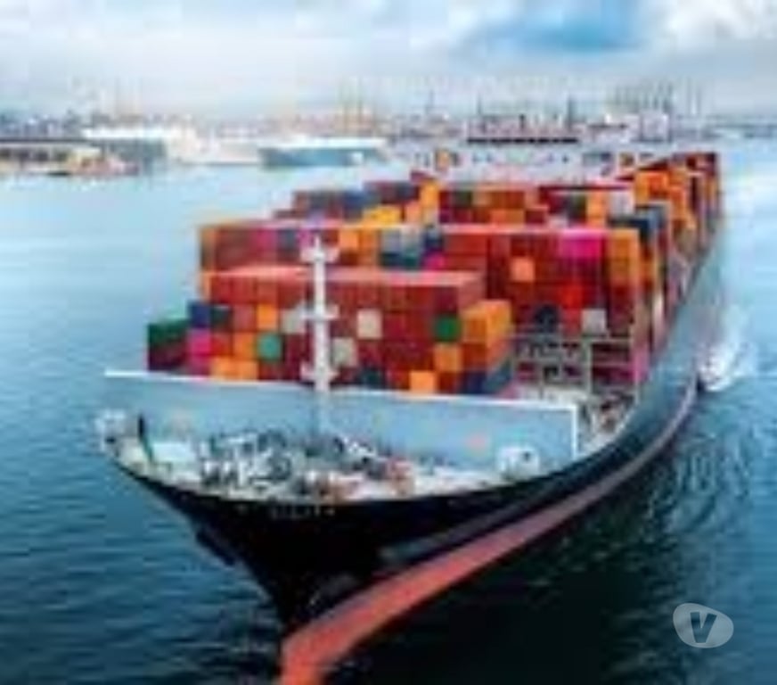 Relocation services Delhi - Photos for Smart Global Logistics Solutions | Fast, Reliable & Scalable