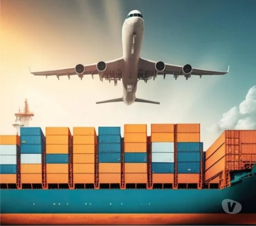 Relocation services Delhi - Photos for Smart Global Logistics Solutions | Fast, Reliable & Scalable