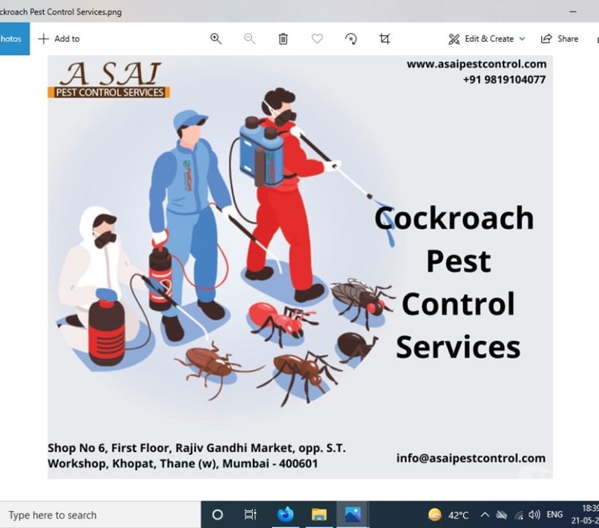 Other Services Mumbai - Photos for Pest Control - A SAI PEST CONTROL